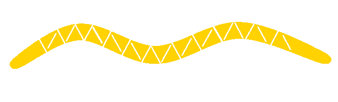 Disegno schematico: Verme polmonare (Angiostrongylus vasorum)