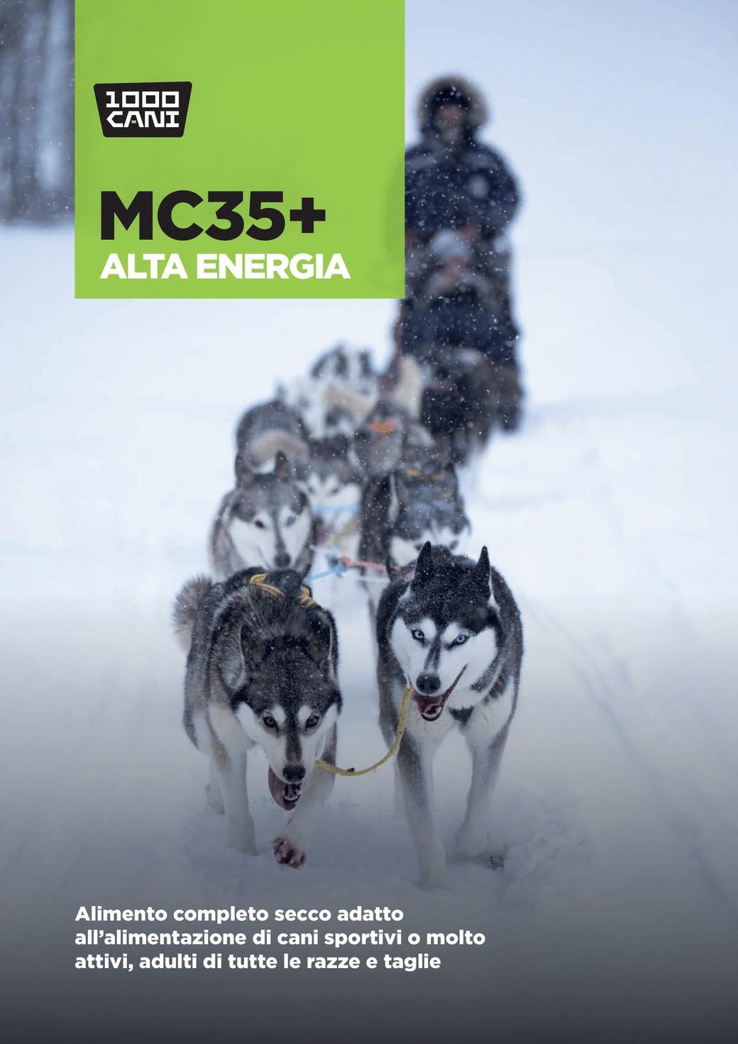 MC35+ Alta Energia - Scheda 1