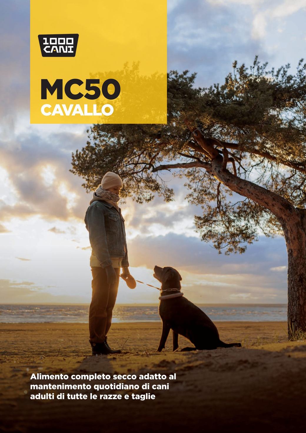 MC50 Cavallo - Scheda 1