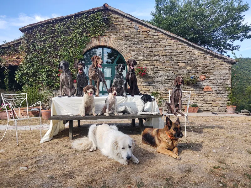 Simon con il suo cane – I meravigliosi cani di Simon