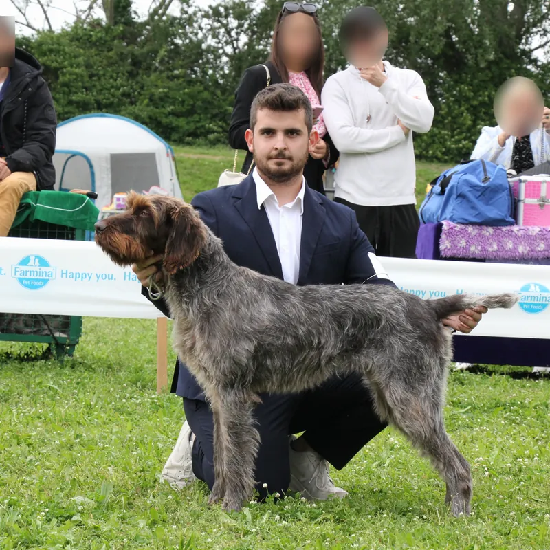 Federico con il suo cane – Alba, 1° Eccellente a Ravenna