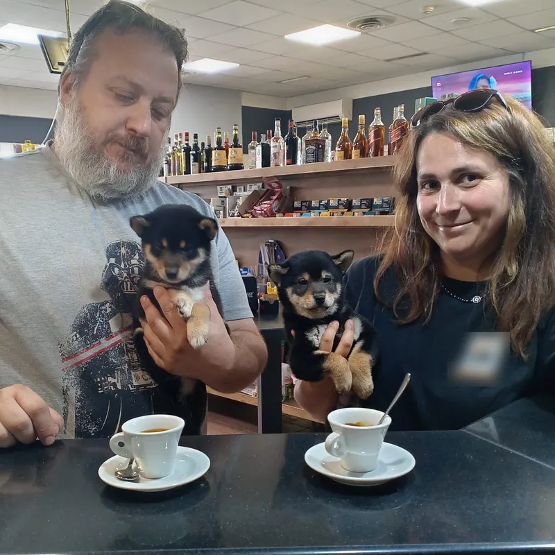 Edilberto con il suo cane – Shiba Inu in tutta Europa